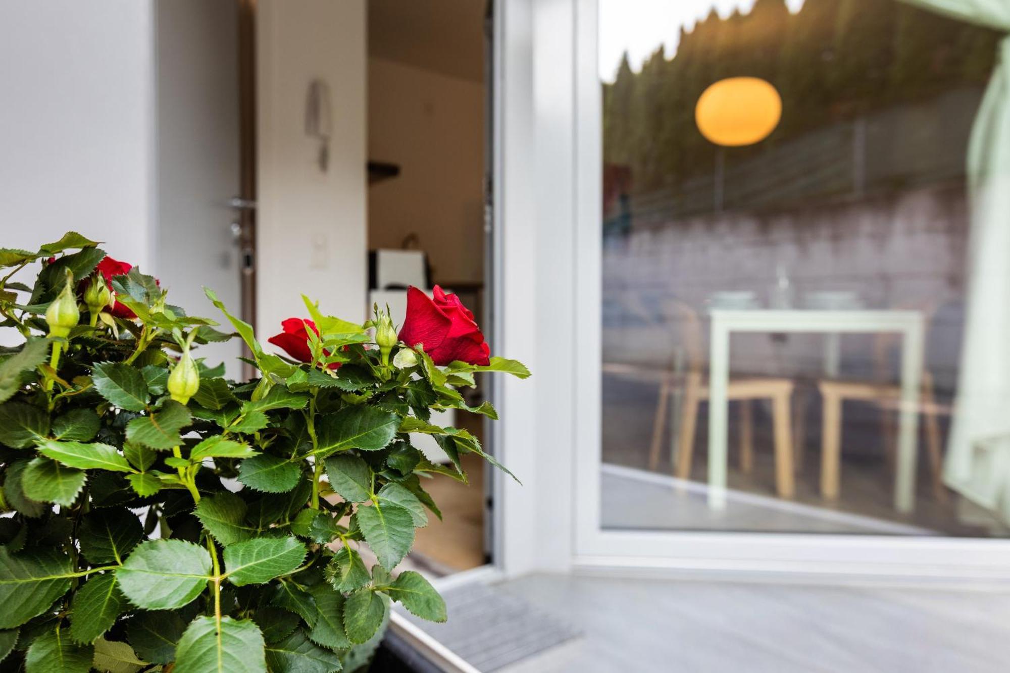 Апартаменти Easy Flat Vezia, Indipendent Entrance, Free Parking Лугано Екстер'єр фото